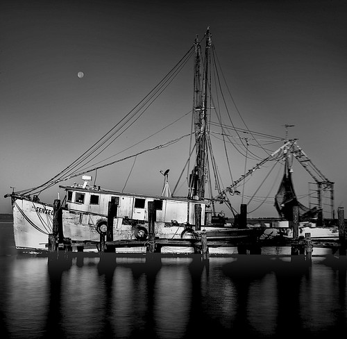 SHRIMP BOAT | Stay at home work with all the comforts of hom… | Flickr