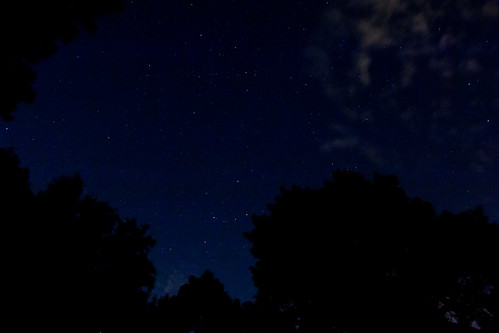 2016 bluesky evening longexposure lookingup night privpublic silhouette stars trees