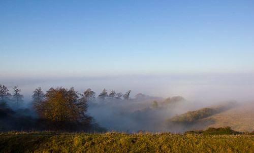 Fog in a valley | by Alenmurr