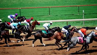 Horse Race - Louisiana Downs | by donnierayjones