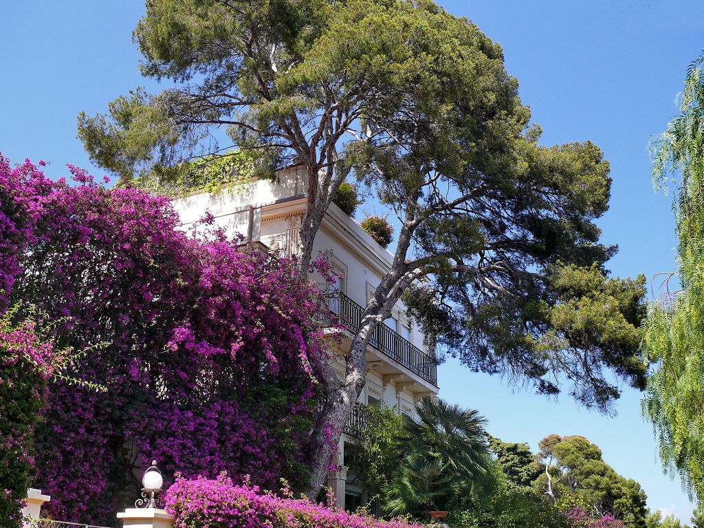 St Ropez Colours colors of St. Tropez | It is located on the French Riviera, … | Flickr