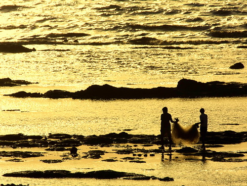 sunset sea net beach silhouette golden evening fishing fishermen arabian daman fishingnet arabiansea topshot castinganet sharadgupta