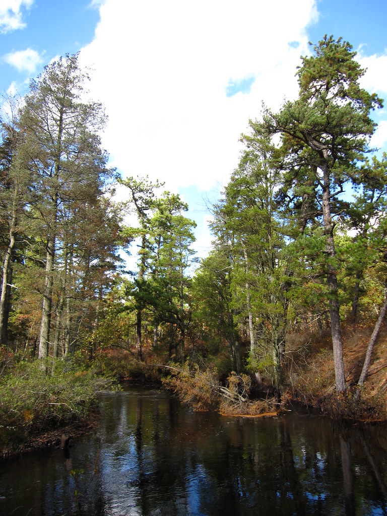 Mullica River Trail (yellow)