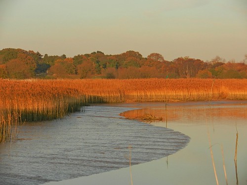 blue autumn light sunset sky cloud sun sunlight colour detail water beautiful sunrise river landscape suffolk afternoon view path sunny sharp clear footpath snape sharpness alde blinkagain bestofblinkwinners