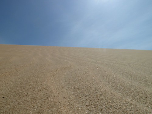 Detail Sanddüne | by Bettina v. Greyerz