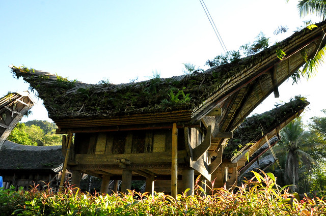 Toraja, South Sulewasi