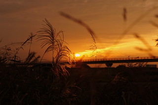 荒川の夕日 Sunset at Arakawa