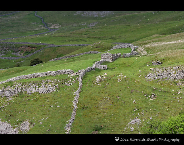Drystone walls and sheep From The HawesTo Thwaite Road, Swaledale