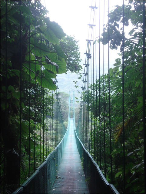 Jessica Wilson: Canopy Bridges in the Cloud Forest, Monteverde, Costa Rica