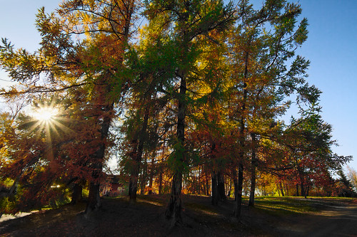 Ruska_autumn colors in Kellokoski2-1 | olli berg | Flickr
