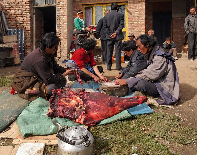 Meal preparation in nomad tibetan villages