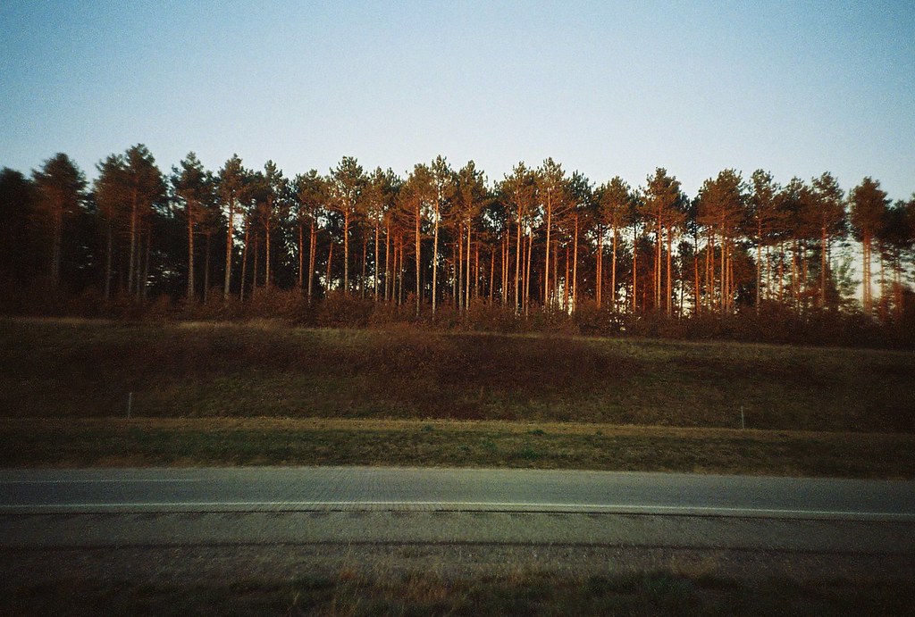 october landscape, highway 29 by Amy Fichter
