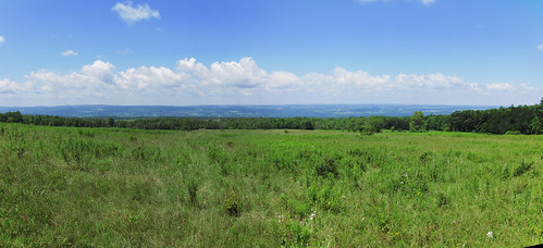 Field by cm195902, View west toward Seneca Lake (hidden by trees) from Hector Backbone in Finger Lake National Forest f