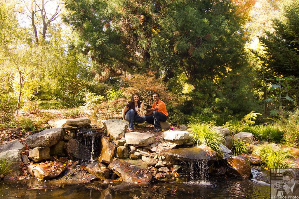 Ajay And Meredith Uncc Botanical Gardens 9 Chris Ballance Flickr