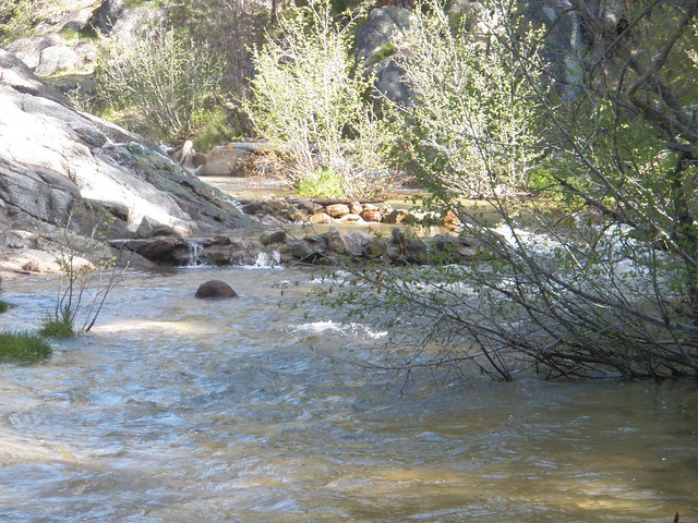 Trail Creek Runofff