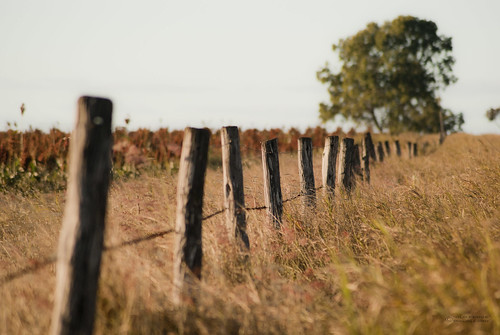 old field fence farm rustic