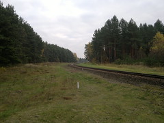 Rail line outside Paneriai