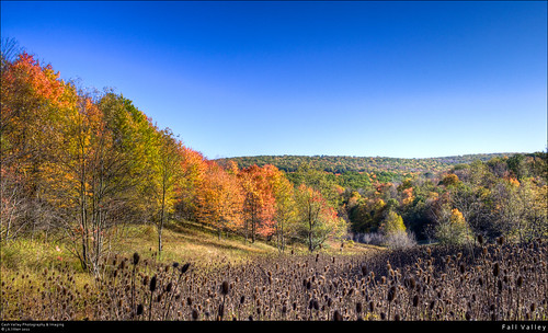trees mountains fall colors leaves rural forest woods october country valley hdr highdynamicrange canont1i