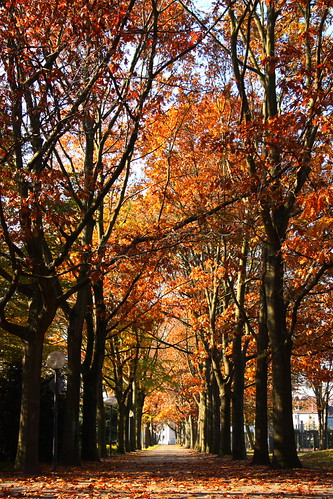 Herbst / autumn by Jan-Oliver Schneider Photography,