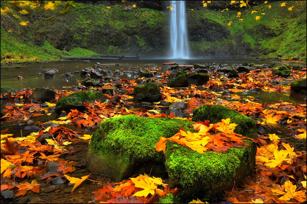 Silver Falls State Park. Silver Falls Park Oregon. Silver Falls State Park Oregon. 2000'S autumn. Falling state
