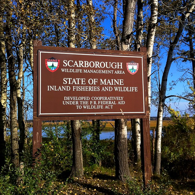 Scarborough Wildlife Management Area
