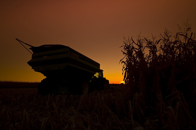 Corn Field and Combine sunset