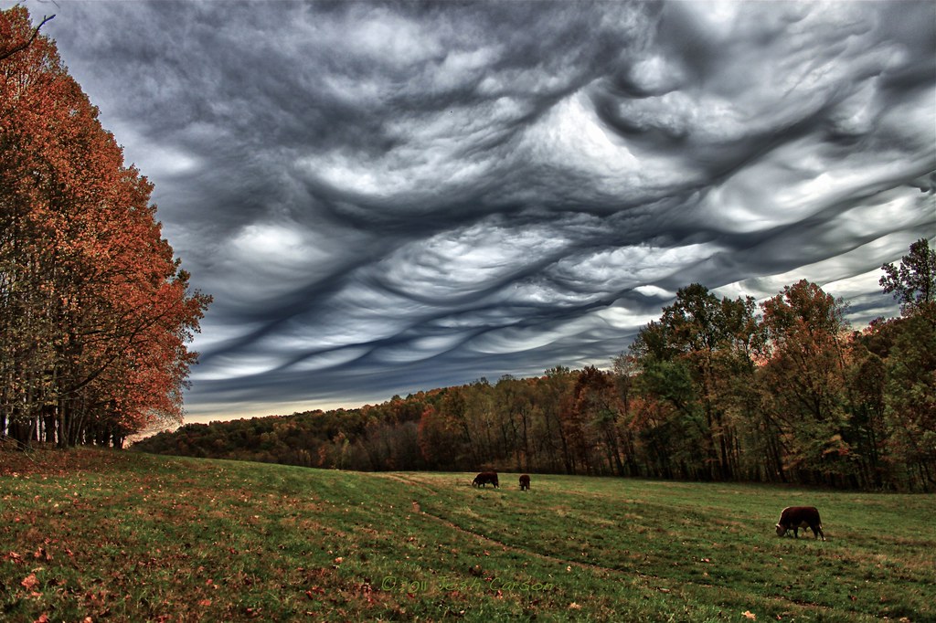 Magical nature: Top 10 rarest types of clouds in the world
