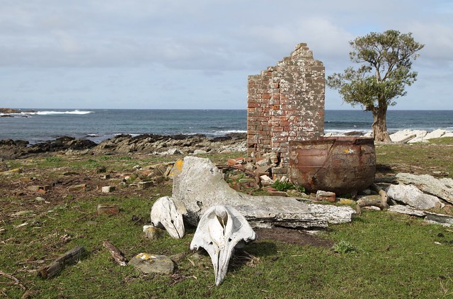 Abandoned Missionaries and Whalers Site Chatham Islands New Zealand