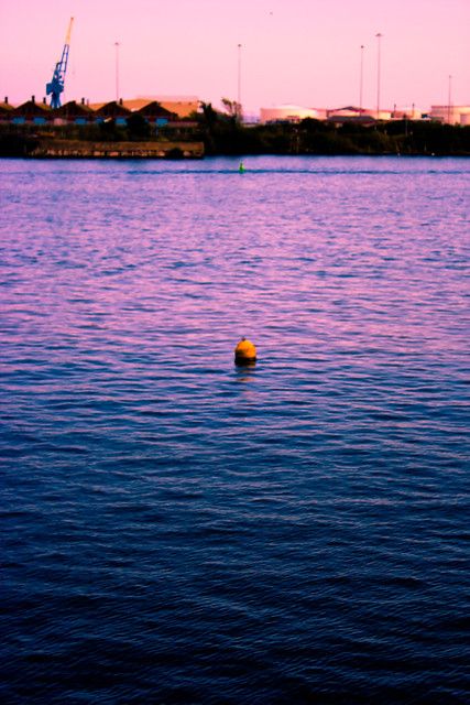 buoy in water