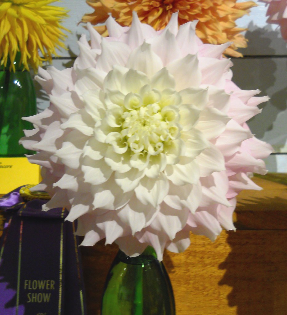Flowers | Different flower arrangements | Renee Geithner | Flickr