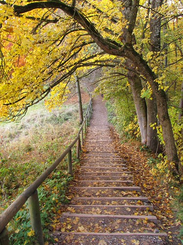 downstairs by koaxial, slowly we step into winter.... first snow on the road, cold wind blowing, a last view to autumn (may