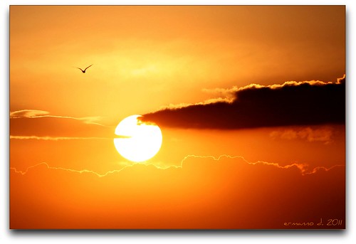 rivolto al sole che tramonta - ***explore!*** by erman_53fotoclik
