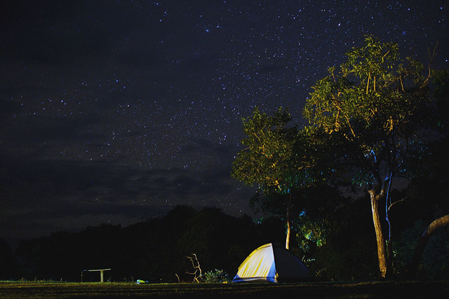 Night shots in Pantanal, Brasil