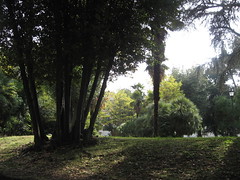 Quirinale Garden IV