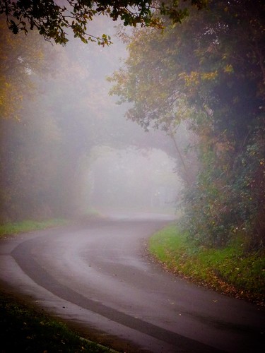 Foggy November mornings by everyday_stranger