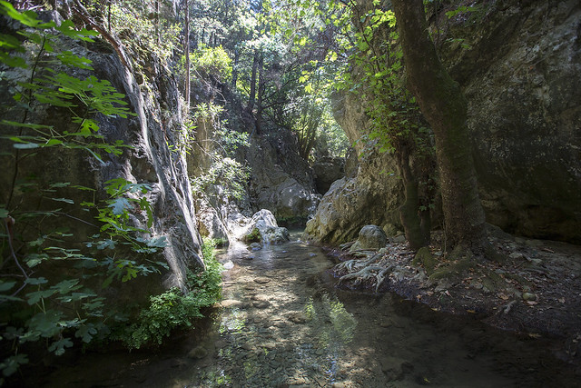 Forest river path to the Potami waterfalls