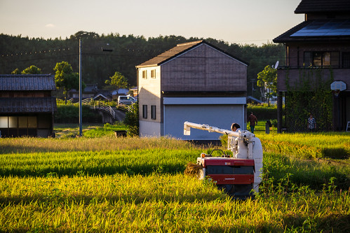 tractor japan landscape sony harvest 日本 farmer ricefield 風景 goldenhour 田んぼ 米 収穫 農家 トラクター apsc a6000 sel55210 sonye55210mmf4563oss α6000 ilce6000 ©jakejung