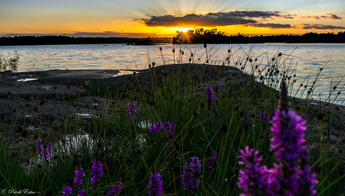 Last sunset in the month of July by Patrik Estius, Oskarshamn, Bockhamnen, Borholmsfjorden - Sweden

♥ Thank you very much for your visits, faves, and 