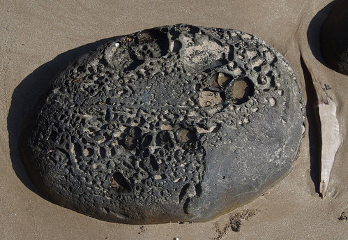 Basalt, Narragon Beach, near  Mission Beach, QLD, 04/11/15 | by Russell Cumming