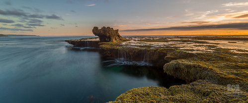 longexposure sunset seascape seaweed water rock nikon australia rye nisi dragonshead d800e