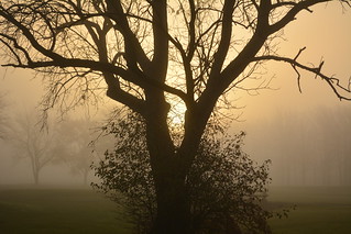 Lockport morning mist
