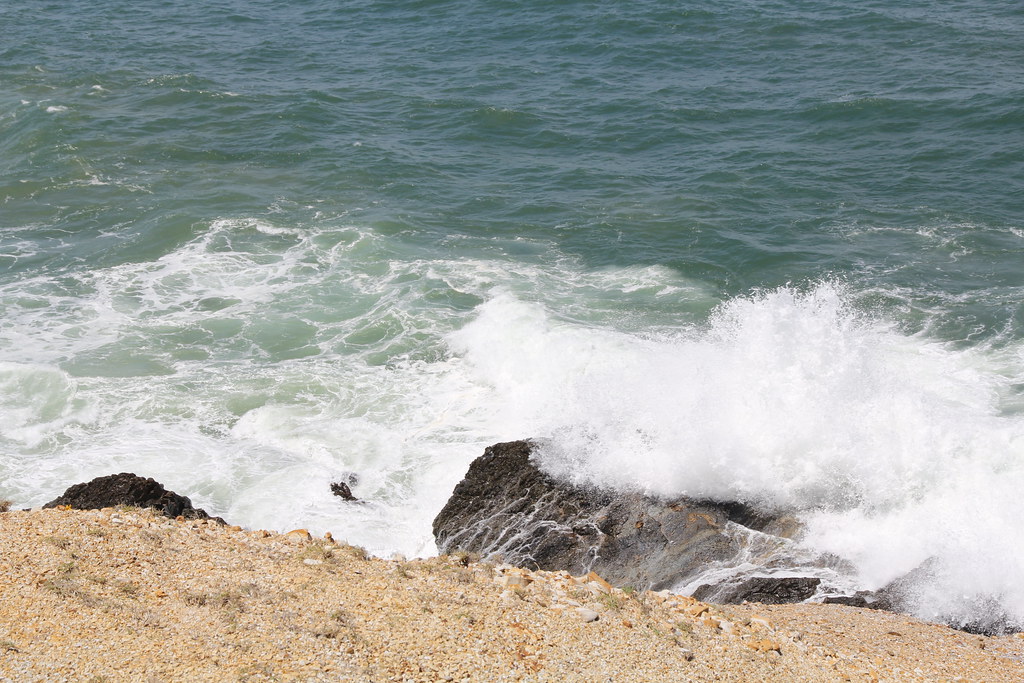 Maclean, Brooms Head and Angourie 20111101 050 Adrian Greig Flickr