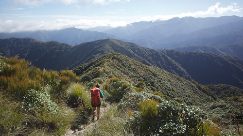 newzealand mountains walking landscape nicky manawatu teararoa thelongpathway