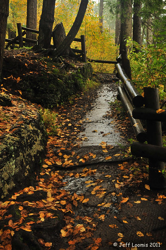 Wooded Path | by jeffloomis1