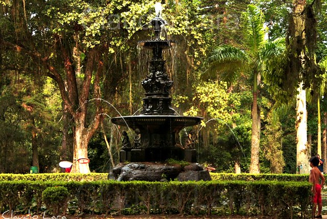 Jardim Botânico - Rio de Janeiro - RJ