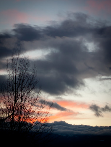 winter sunset tree clouds rockies colorado rockymountains