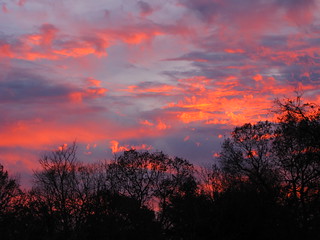 Sunset 11-13-2011