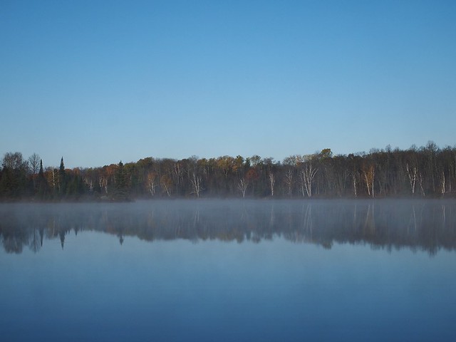 the foggy water mirrored the trees perfectly.