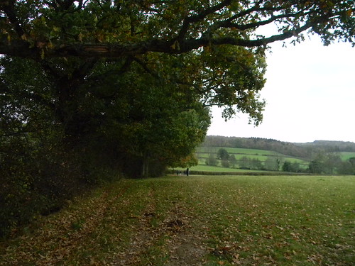 View near Burwash Stonegate to Robertsbridge