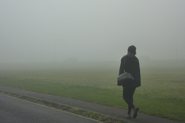 Fog on the Heath